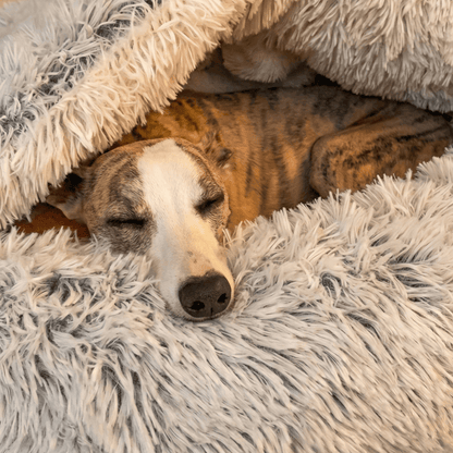 NapFriends Cavebed – The Original Calming Burrow Bed
